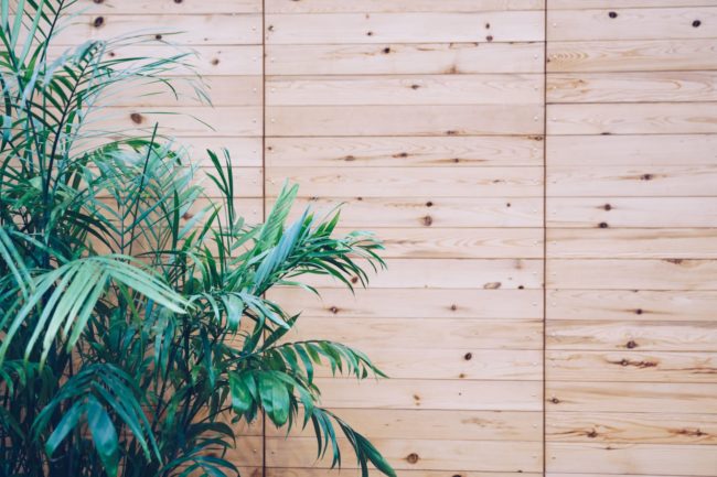 5 Ways to Add Appeal to Your Home This Summer